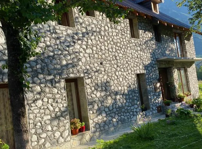 Demushi
