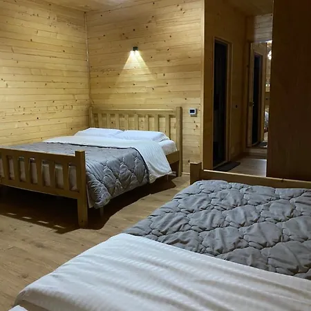 Demushi Guest house